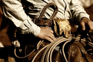 Close up of the hands and torso of an authentic working cowboy in the American West riding to work in sunset light (sepia/brown tint).